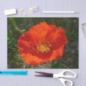 Alaskan Red Poppy Colorful Blume Seidenpapier (Handwerk)