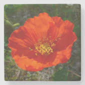 Alaskan Red Poppy Colorful Blume Steinuntersetzer (Vorderseite)