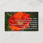 Alaskan Red Poppy Colorful Blume Visitenkarte (Vorderseite)