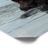 Alaskan Sea Otter Poster (Ecke)