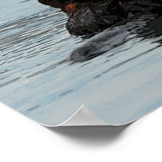 Alaskan Sea Otter Poster (Ecke)