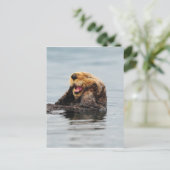 Alaskan Sea Otter Postkarte (Stehend Vorderseite)