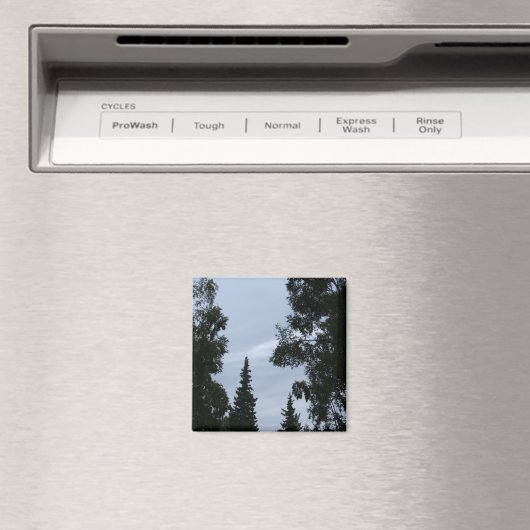 Alaskan sky magnet (In Situ (Geschirrspüler))