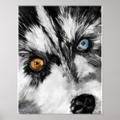 Alaskan Sled Dog "Lasse Run" Print Poster (Vorne)