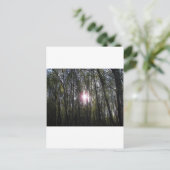 Alaskan Sun Postkarte (Stehend Vorderseite)