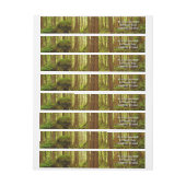 Alaskan Temperate Rainforest (Bogen)