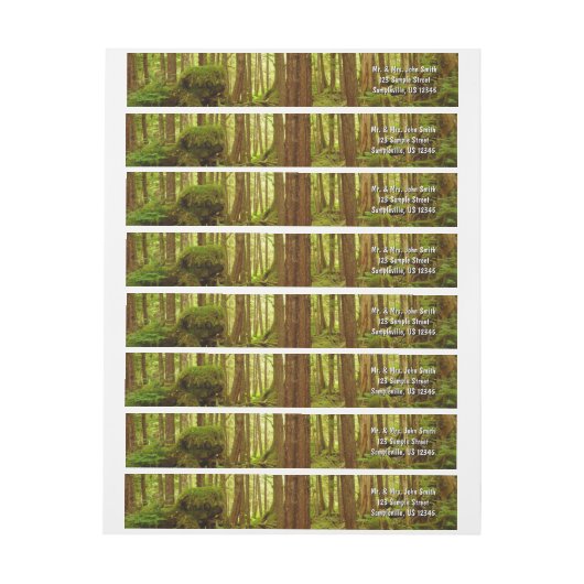 Alaskan Temperate Rainforest (Bogen)