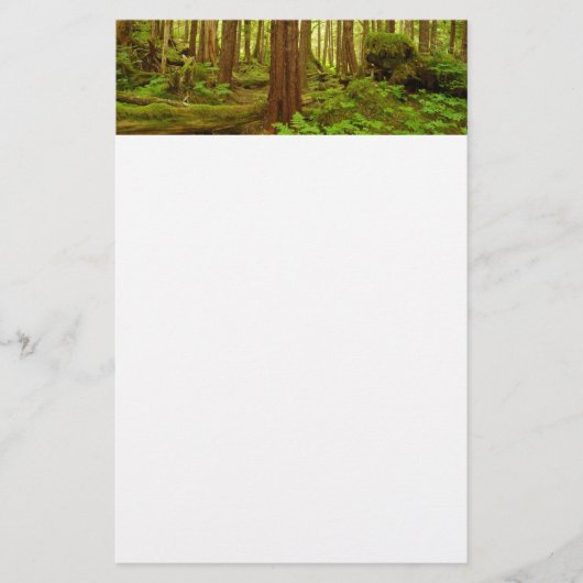 Alaskan Temperate Rainforest Briefpapier (Vorderseite)