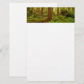 Alaskan Temperate Rainforest Briefpapier (Vorne/Hinten)