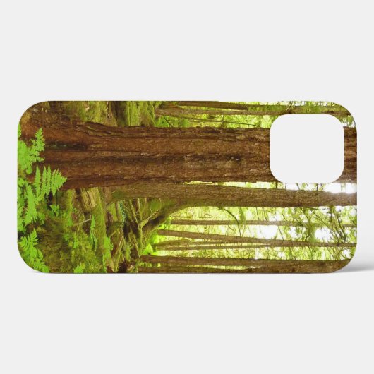 Alaskan Temperate Rainforest Case-Mate iPhone Hülle (Rückseite (Horizontal))
