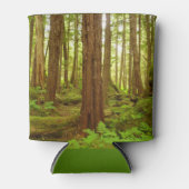 Alaskan Temperate Rainforest Dosenkühler (Vorderseite)