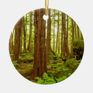 Alaskan Temperate Rainforest Keramik Ornament