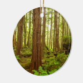 Alaskan Temperate Rainforest Keramik Ornament (Links)