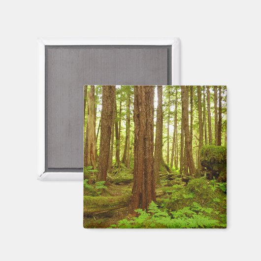 Alaskan Temperate Rainforest Magnet (Vorderseite/Rückseite)