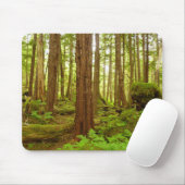 Alaskan Temperate Rainforest Mousepad (Mit Mouse)