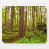Alaskan Temperate Rainforest Mousepad (Vorne)