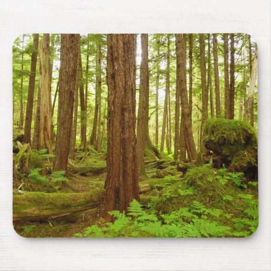 Alaskan Temperate Rainforest Mousepad (Vorne)