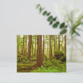 Alaskan Temperate Rainforest Postkarte (Stehend Vorderseite)