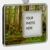Alaskan Temperate Rainforest Rahmen-Ornament Silber (Rechts)