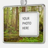 Alaskan Temperate Rainforest Rahmen-Ornament Silber (Links)