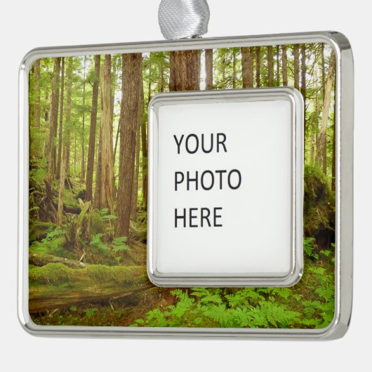 Alaskan Temperate Rainforest Rahmen-Ornament Silber (Links)
