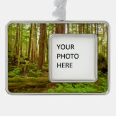 Alaskan Temperate Rainforest Rahmen-Ornament Silber (Vorderseite)