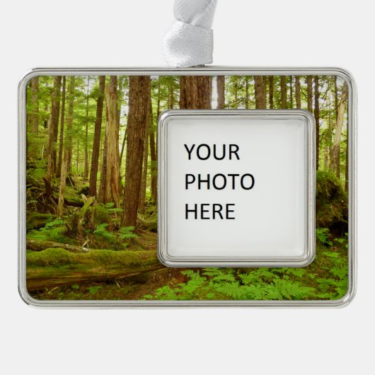 Alaskan Temperate Rainforest Rahmen-Ornament Silber (Vorderseite)