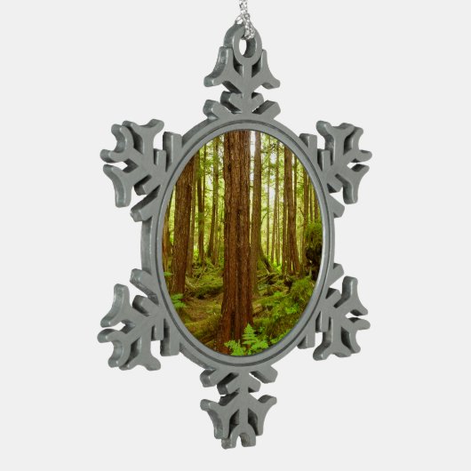 Alaskan Temperate Rainforest Schneeflocken Zinn-Ornament (Links)