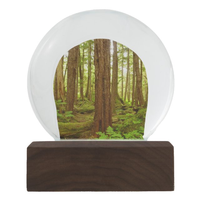 Alaskan Temperate Rainforest Schneekugel (Vorderseite)