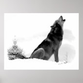 Alaskan Timber Wolf Poster (Vorne)