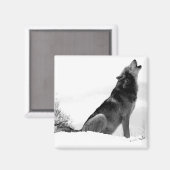 Alaskan Timber Wolf Refig Magnet (Vorderseite/Rückseite)