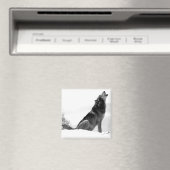 Alaskan Timber Wolf Refig Magnet (In Situ (Geschirrspüler))