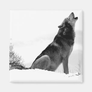 Alaskan Timber Wolf Refig Magnet