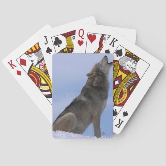Alaskan Timber Wolf Spielkarten (Rückseite)