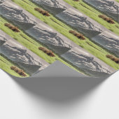 Alaskan Ufer, Grizzlybär Geschenkpapier (Ecke)