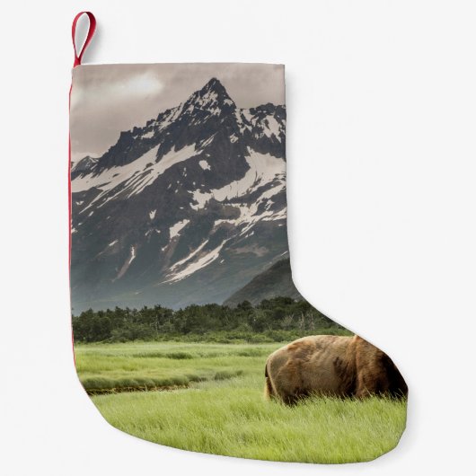 Alaskan Ufer, Grizzlybär Kleiner Weihnachtsstrumpf (Vorderseite)