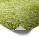 Alaskan Ufer, Grizzlybär Poster (Ecke)