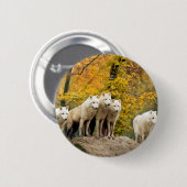 Alaskan White Wolves im Wald Button (Vorne & Hinten)