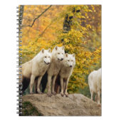Alaskan White Wolves im Wald Notizblock (Vorderseite)
