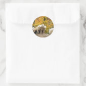 Alaskan White Wolves im Wald Runder Aufkleber (Tasche)