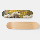 Alaskan White Wolves im Wald Skateboard (Horizontal)