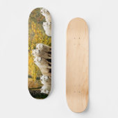Alaskan White Wolves im Wald Skateboard (Vorderseite)