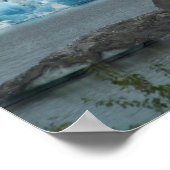 Alaskan Wilderness Poster Print (Ecke)