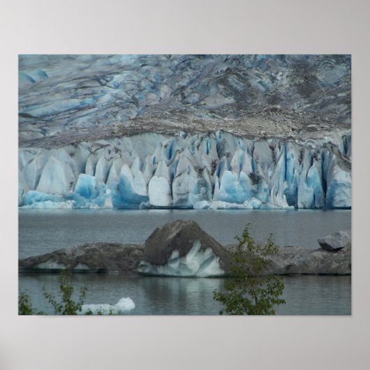 Alaskan Wilderness Poster Print (Vorne)