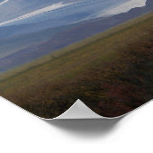 Alaskan Wilderness Poster Print (Ecke)