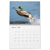 Alaskan Wildlife Calendar Kalender (Feb 2026)