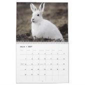 Alaskan Wildlife Calendar Kalender (Mär 2027)