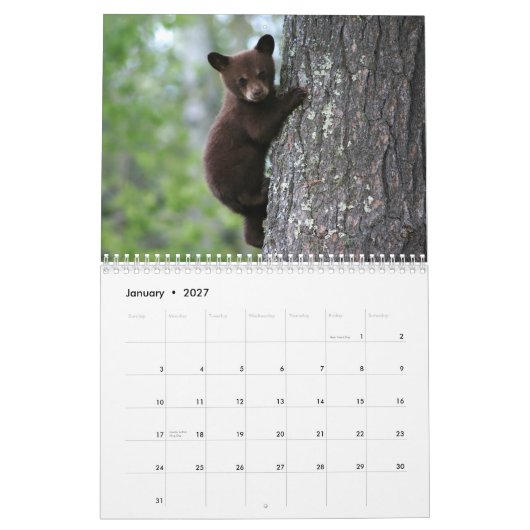 Alaskan Wildlife Calendar Kalender (Jan 2027)