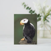 Alaskan Wildlife Postkarte (Stehend Vorderseite)