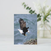 Alaskan Wildlife Postkarte (Stehend Vorderseite)